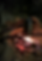 Thumbnail: The Double Grill