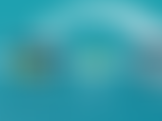 Why EVERY Business Needs to be Retargeting their audience!