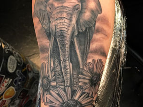 Post Tattoo Care, Procedures, and Tips