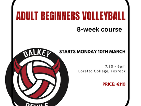 Adult Beginners Volleyball Course