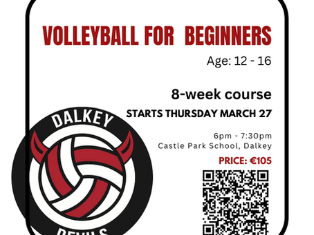 Youth Beginner Volleyball Course
