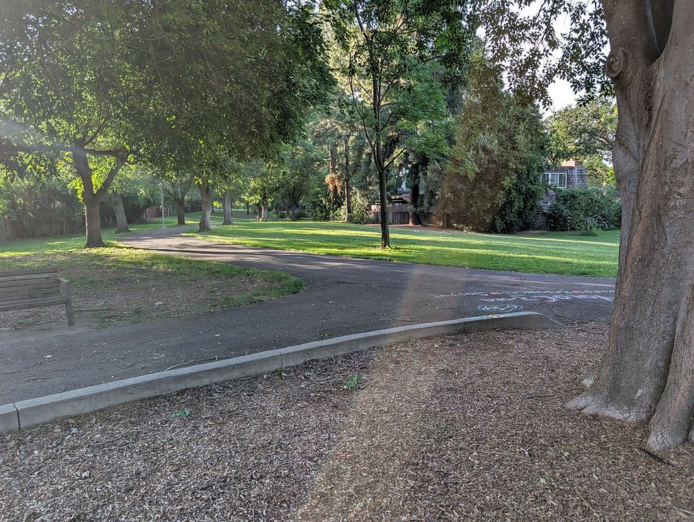 davis-barbera-greenbelt.jpg