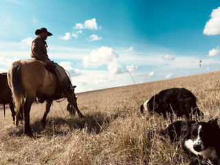 Pine Ranch - Edited Pic - - 6.jpeg