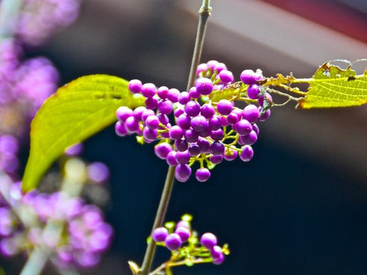 ３月のOJT報告 [この１年を振り返って！] －Sさん