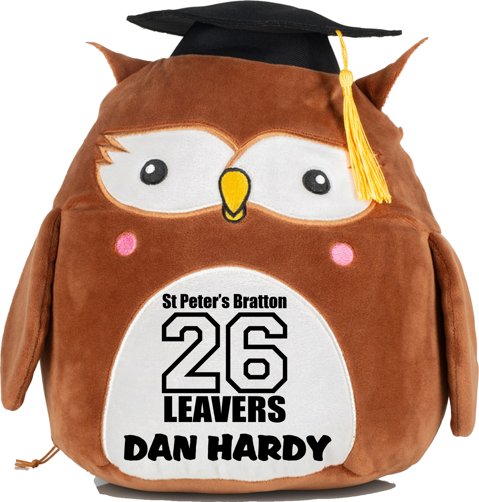 St Peter's Bratton Wise Owl