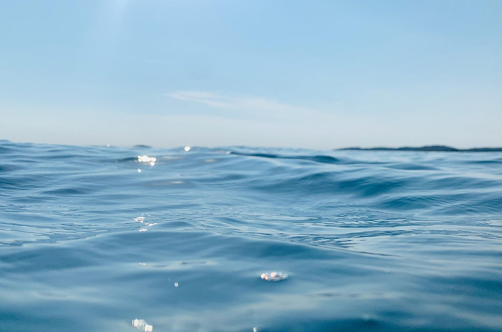 sea-7409361_1920.jpg