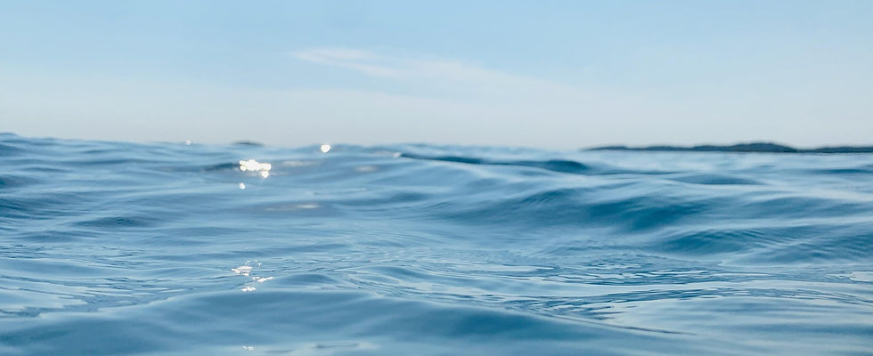 sea-7409361_1920.jpg
