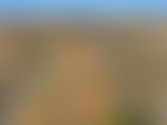 The Manors an Acreage Community In New Waverly