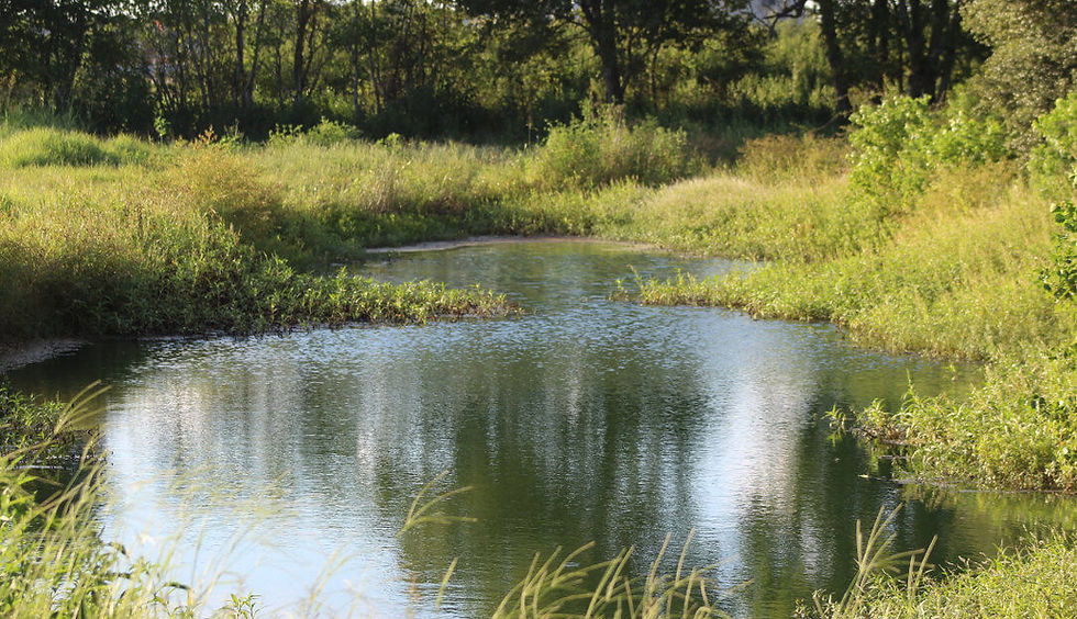 Little River Ranch by Kendall Homes | 1 Acre Homesites in Bay City