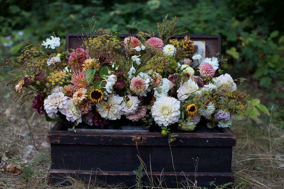 Thumbnail: Antique Black Wood Carpenters Chest 