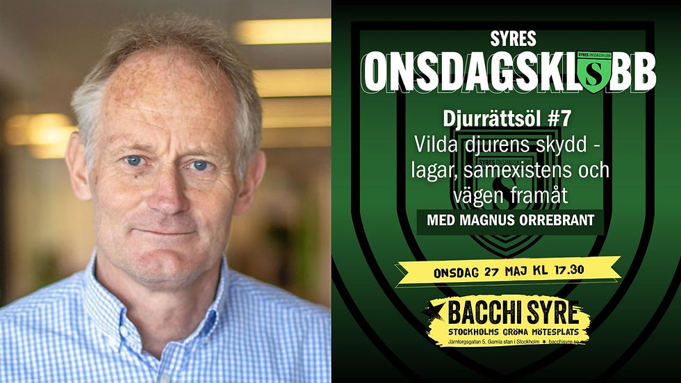 Syres onsdagsklubb – Djurrättsöl #7: Vilda djurs skydd – med Magnus Orrebrant