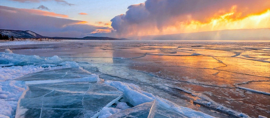 Healing the Freeze Response with TRE®