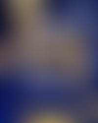 Season’s Greetings from the Beta Lambda Sigma Chapter!