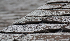 AdobeStock_319275649.jpg