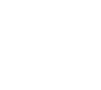 icon-2 copy.png