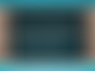 Our Work With The Florida Bar