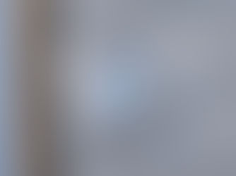 Florida Pool Enclosures Screen Repair Experts