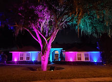 Landscape lighting residential colorful example.jpg