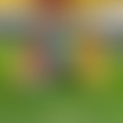 The Benefits of Artificial Turf for Playgrounds