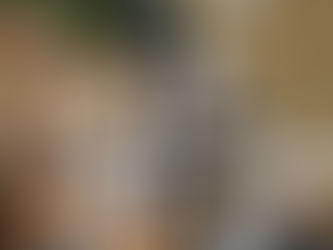 Pool Chlorinator Not Working? Check These 5 Most Common Issues