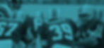 csonka copy.jpg