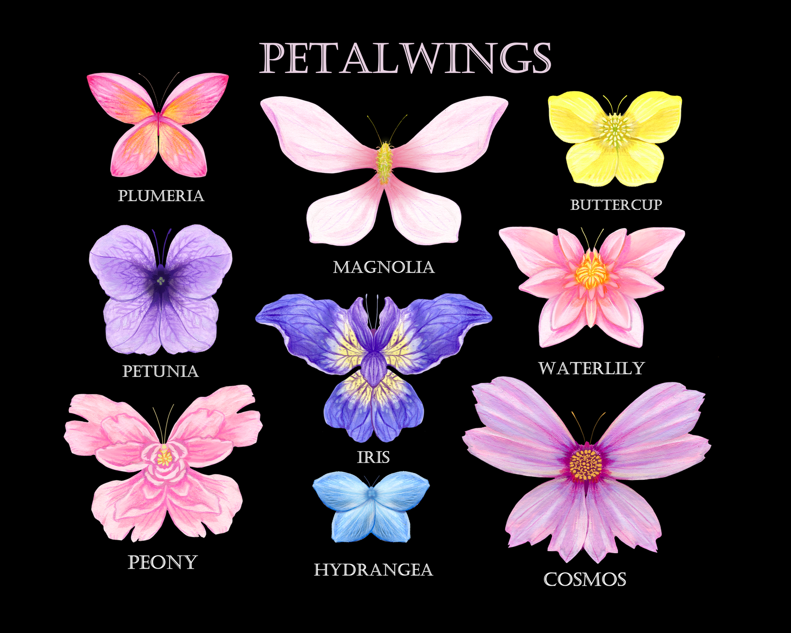 "Petalwings" 8"x10" Print