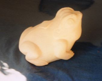 crapeaud taureau chez Siffre.jpg