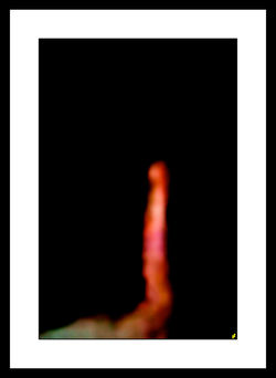 PHOTOILE NYX HS 03.jpg