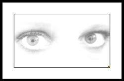 WHITE 01.jpg