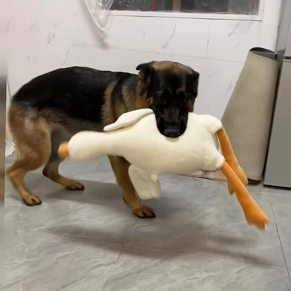 Thumbnail: Large Plush Realistic White Goose Duck Dog Toy - Soft Durable for Chew & Play, C
