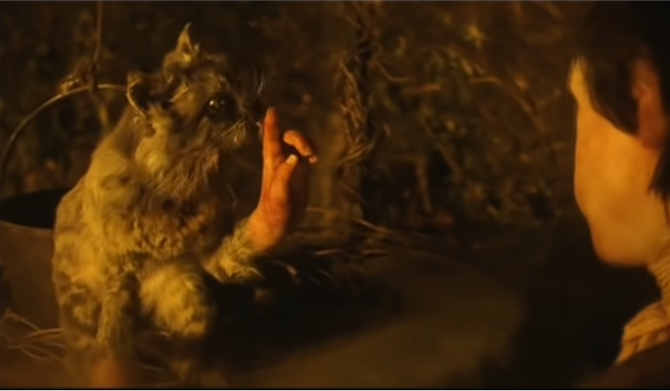 The Cat With Hands