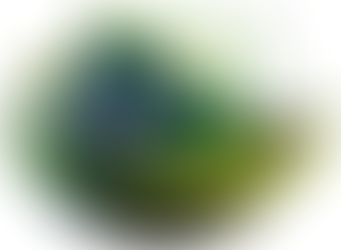 Save Earth, Make the Earth Green: The Power of Solar Energy