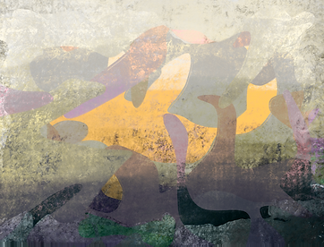 IMG_3079.PNG