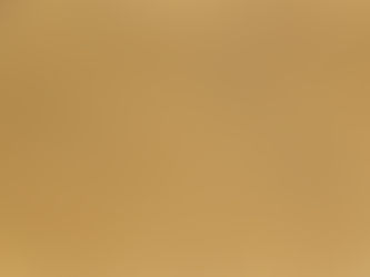 SI LA VIDA NOS DA LIMONES... O DE CÓMO CAMINAR POR EL DESIERTO