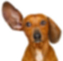 I'm all ears and waiting to hear from you.
