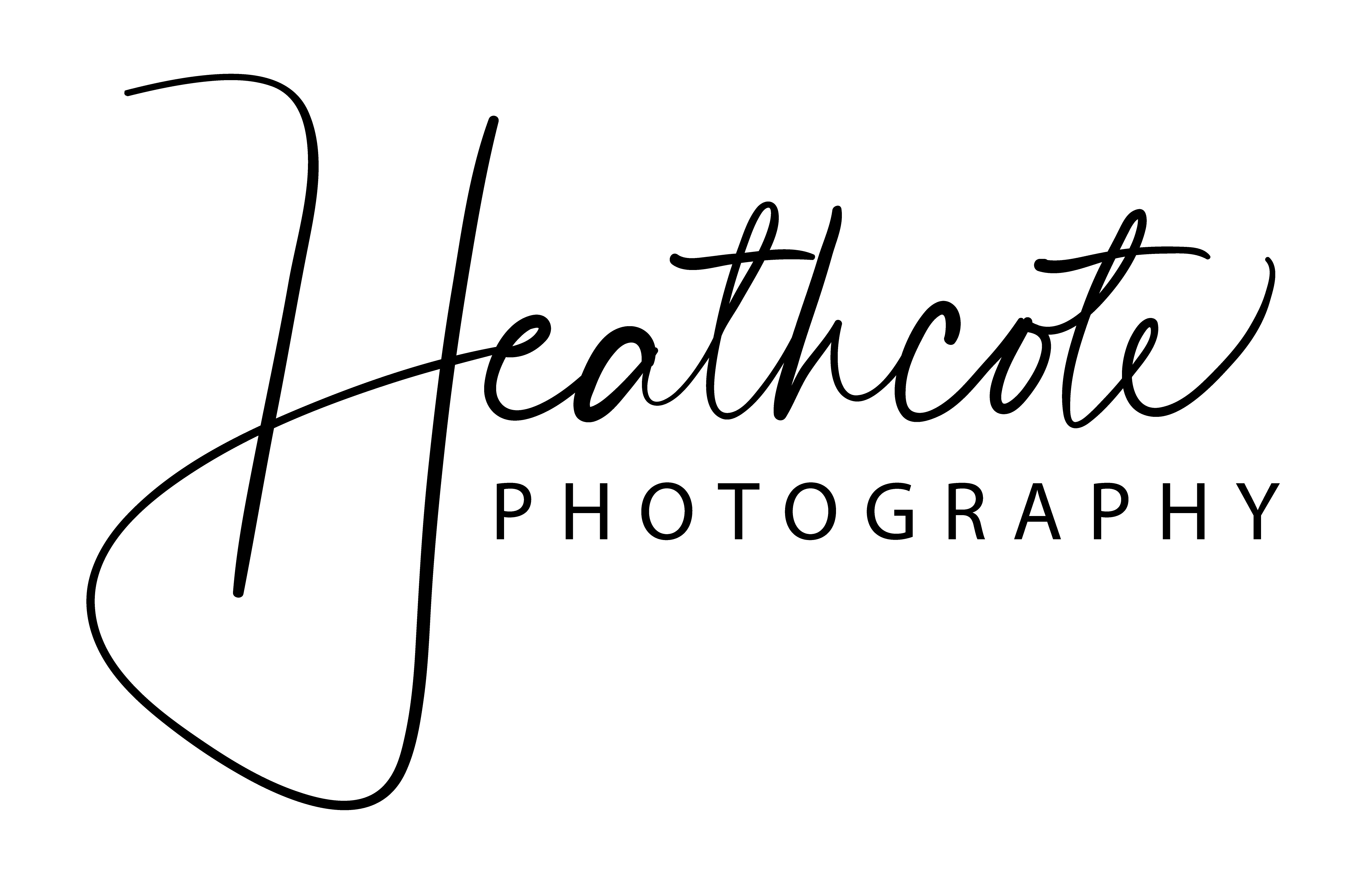 transparent for albums 3.png