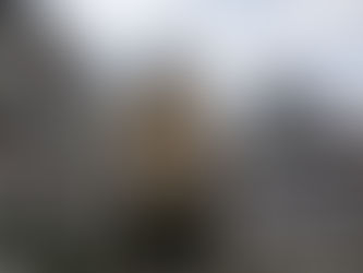 Bürgerbefragung zum Leitbild Herrenberg 2035