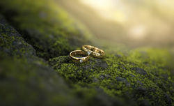 Beauty Among Darkness 