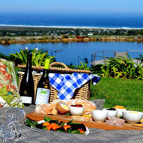 The-Cape-point-Vineyard.jpg