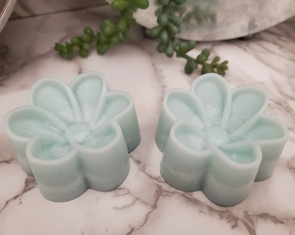 Summer Haze Wax Melt Tart