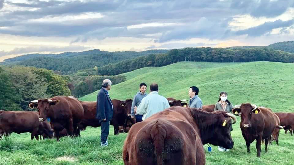 Elite Ranch, Kuji City