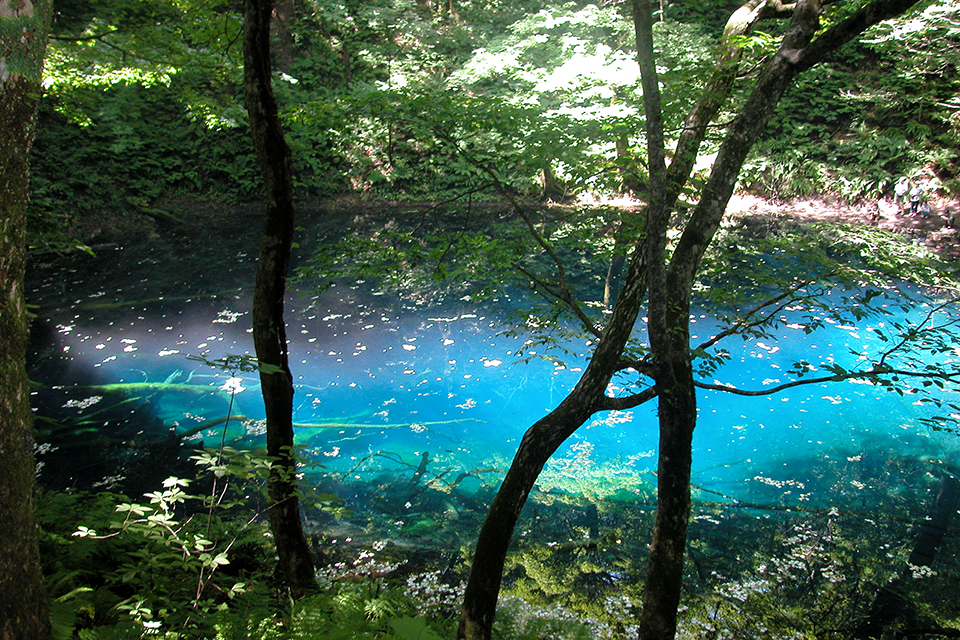 Ao-ike, Aomori prefecture