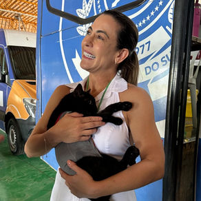 Com projetos de lei e investimentos históricos, Soraya Thronicke consolida atuação em defesa da causa animal