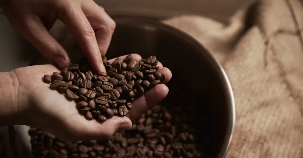 safe-to-eat-coffee-beans-1200x628-facebook-1200x628.webp