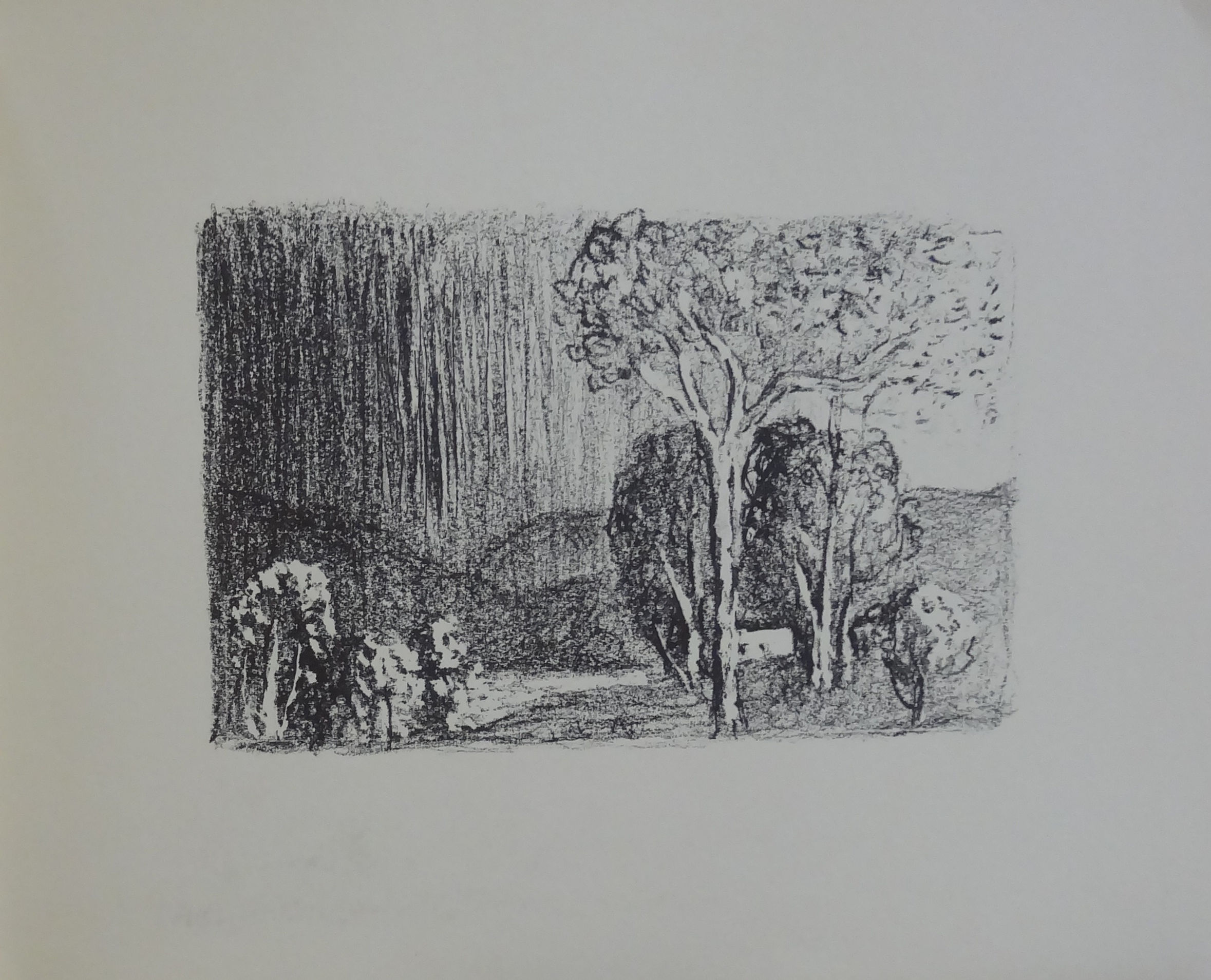 James Rosenberg Lithograph