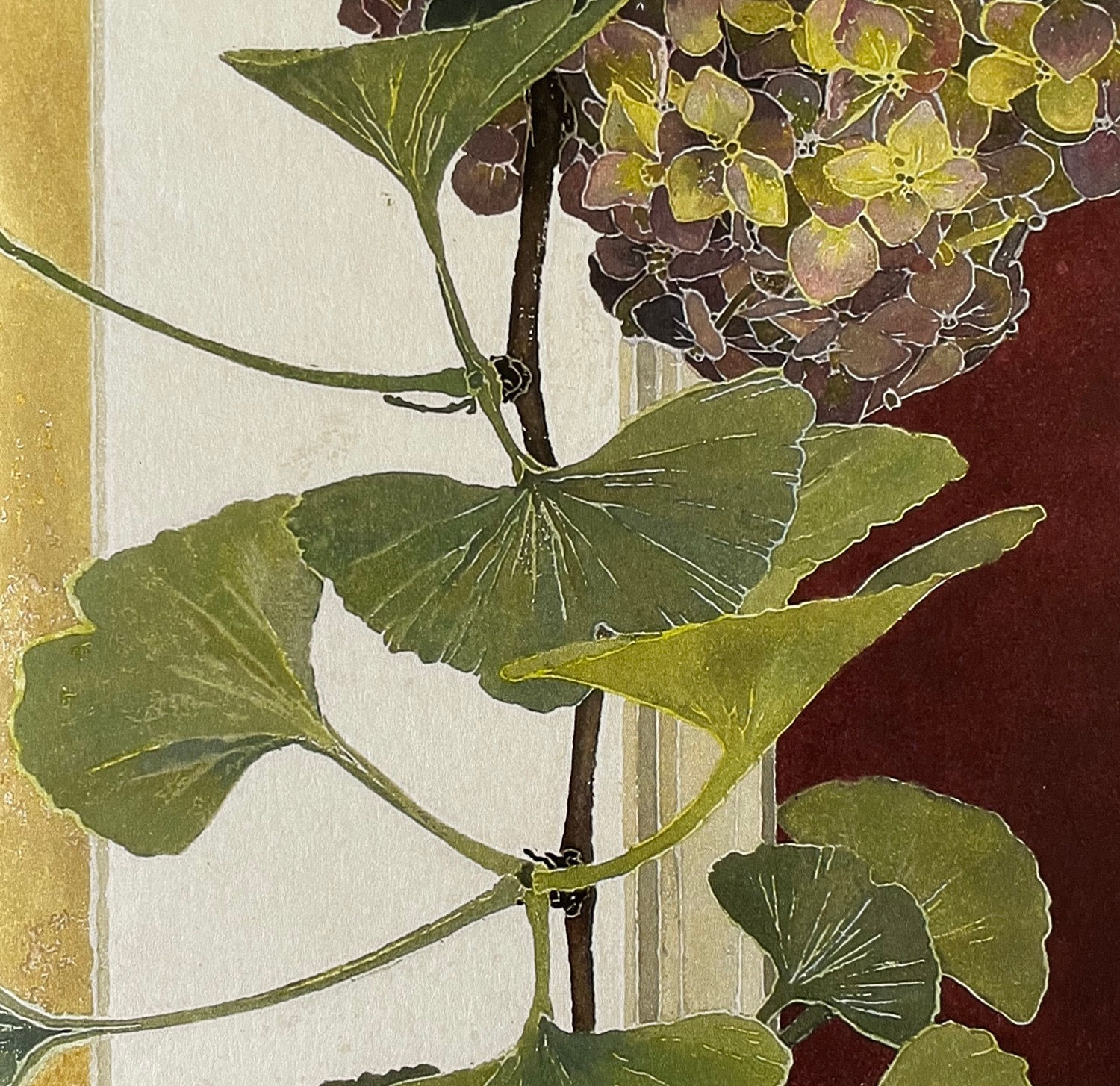 Cressida Campbell, Utamaro print with Ginkgo and Hydrangeas (detail)