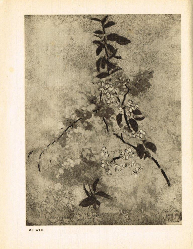 Thumbnail: Odilon Redon, Heliogravure