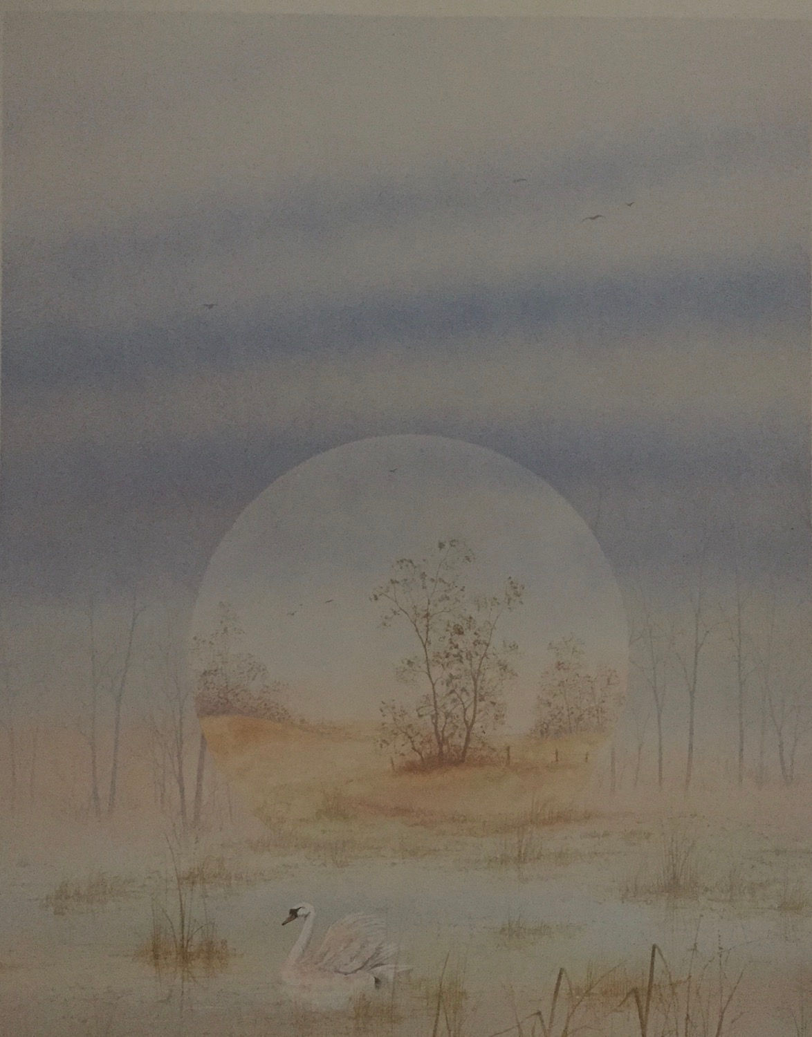 Matthew Harvey, Country Peace IV