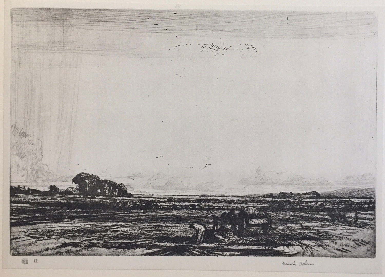 Malcolm Osborne, After the Storm, Amberley