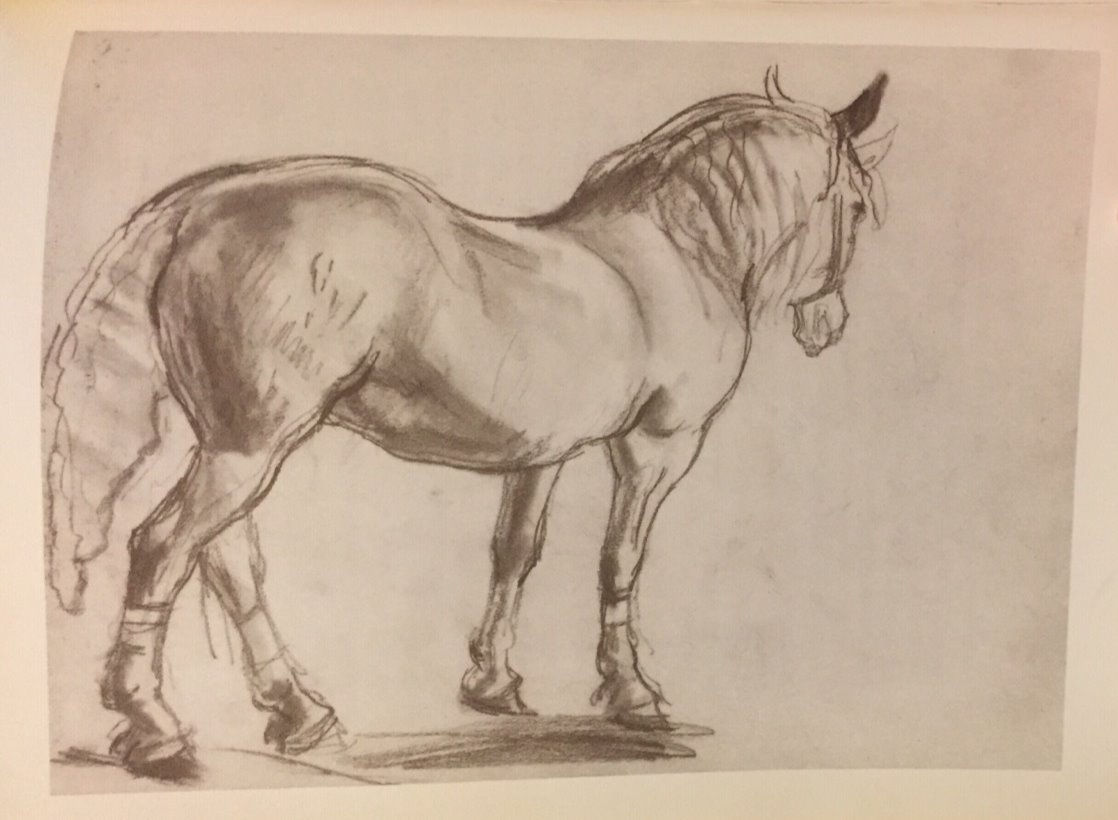Laura Knight, Circus Horse VII